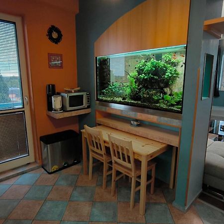 Suk Apartman 24 Suchdol nad Luznici Exterior foto
